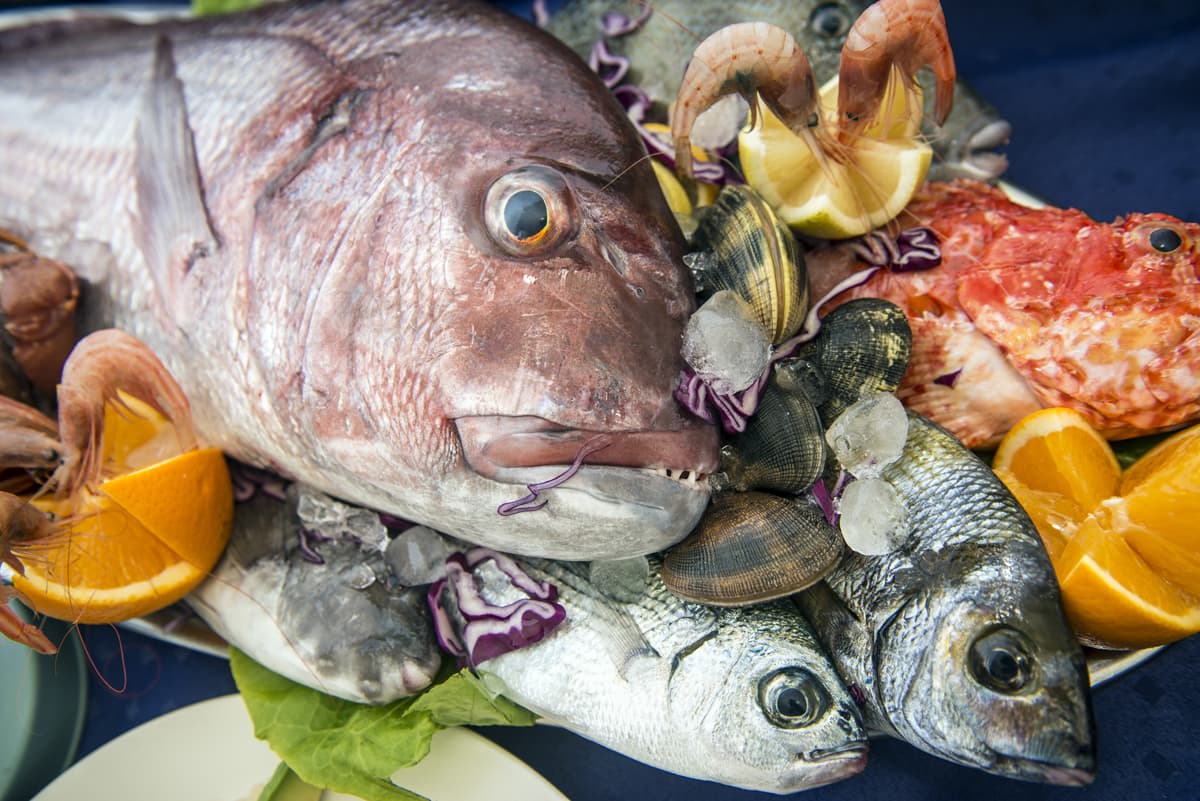 Restaurante pescado en Ferrol